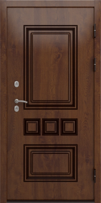 Входная дверь Аура Д-19 (16мм, Грецкий орех + черная патина винорит) внешняя сторона